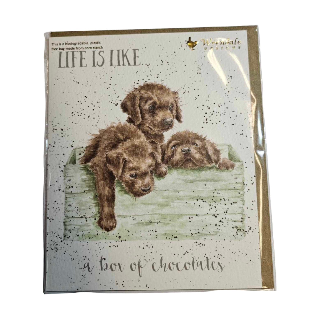 Friend Cards