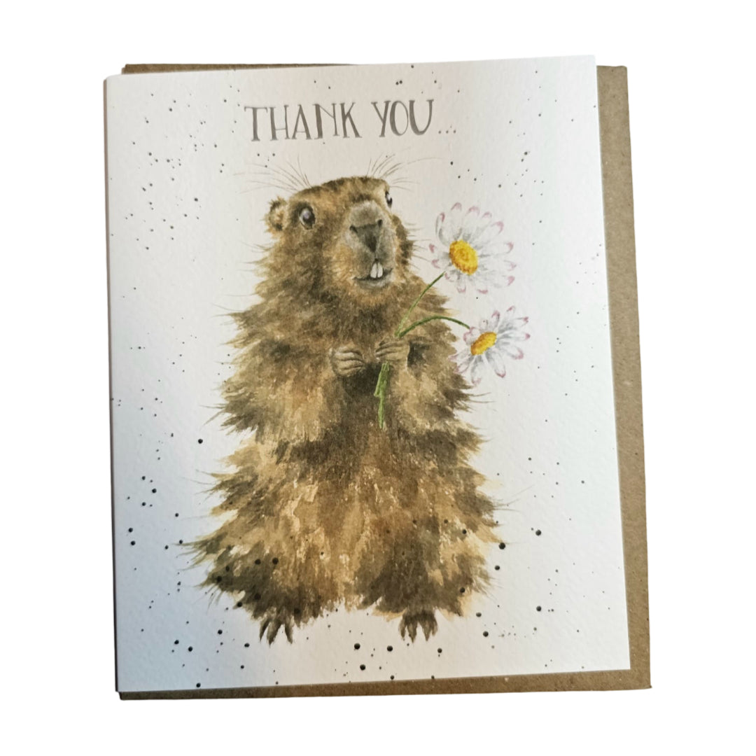 Thank You Cards