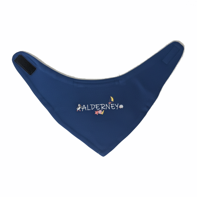 Alderney Baby Bib
