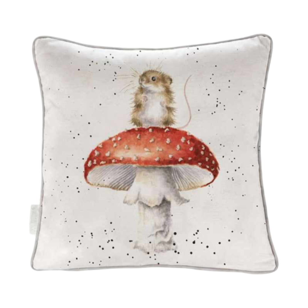 Small Cushions